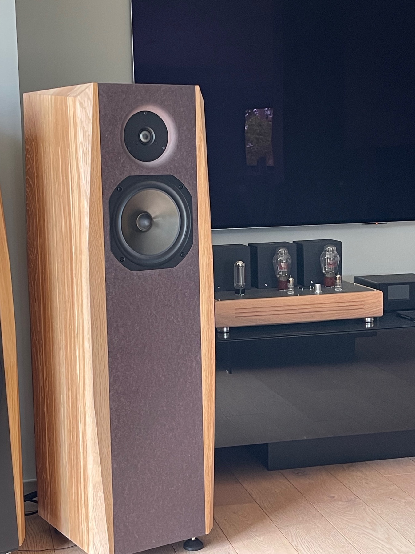 Enceinte Audax Dynaudio D260 — photo de réalisation